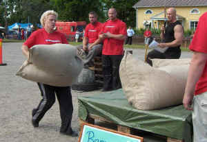 sack02.jpg (41681 byte)